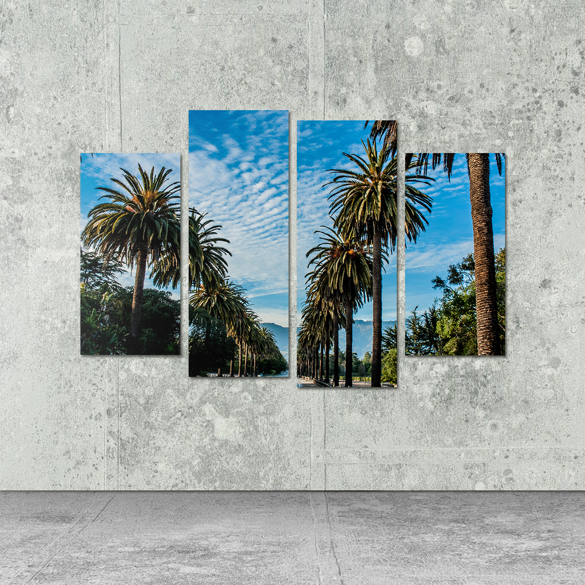 Hope Ranch Palm Drive Wall Art