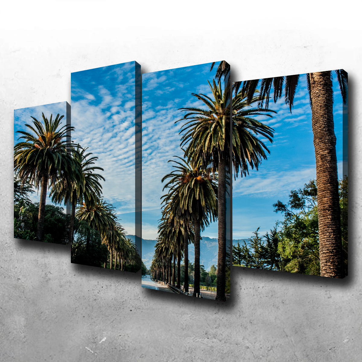 Hope Ranch Palm Drive Wall Art