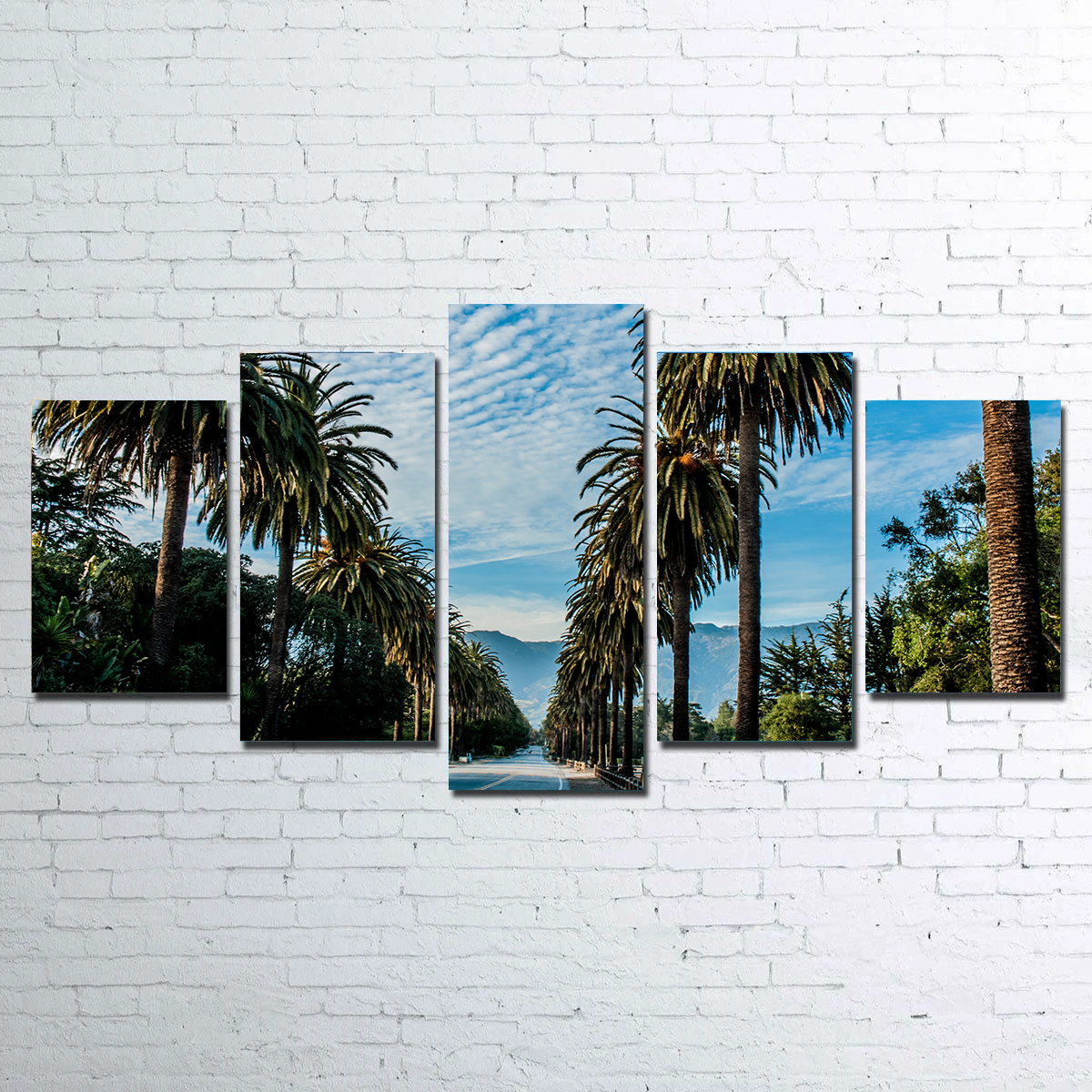 Hope Ranch Palm Drive Wall Art