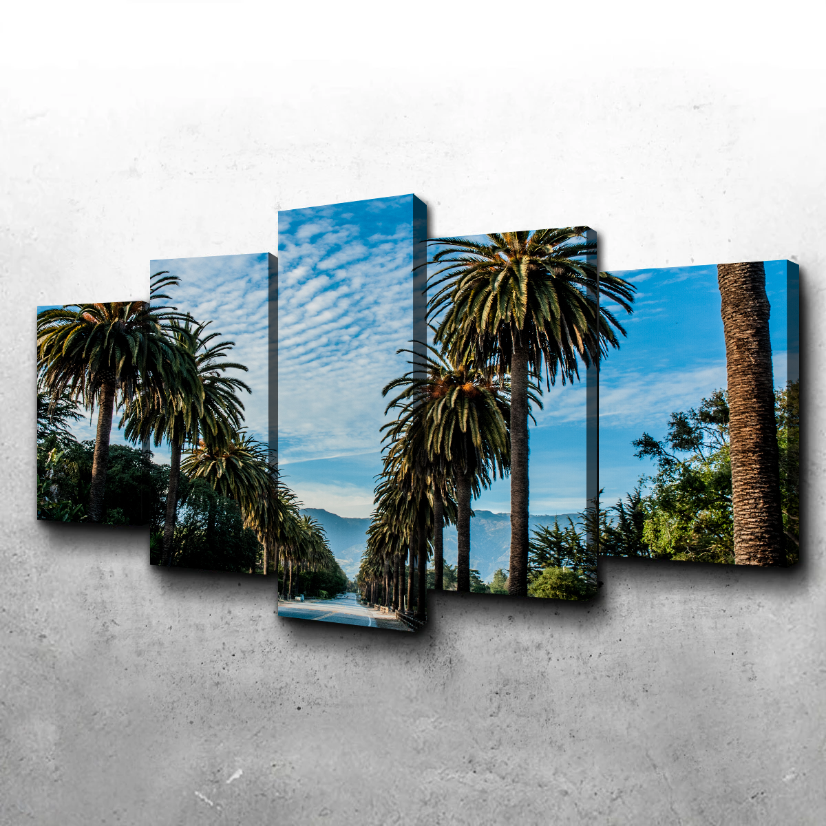 Hope Ranch Palm Drive Wall Art