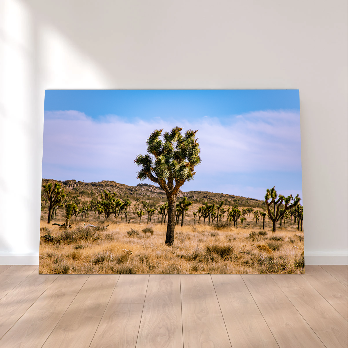 Joshua Tree Wall Art