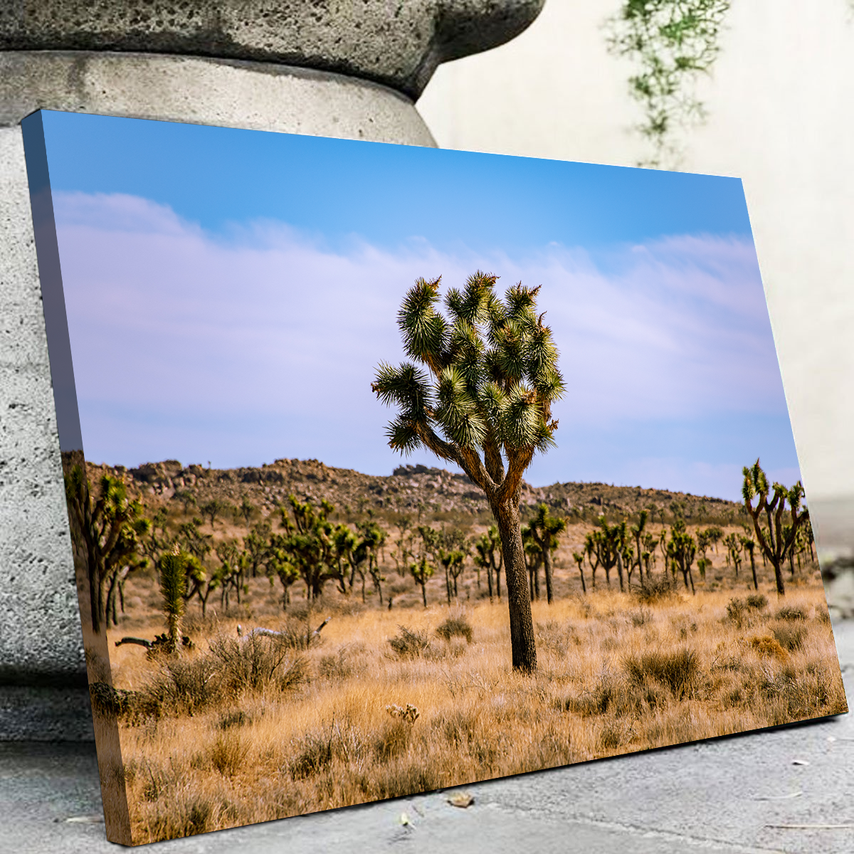 Joshua Tree Wall Art