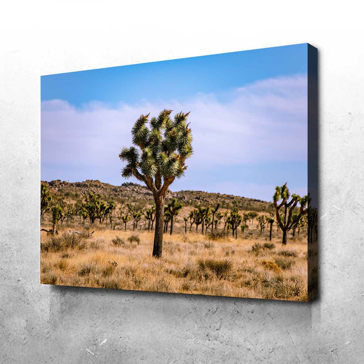 Joshua Tree Wall Art