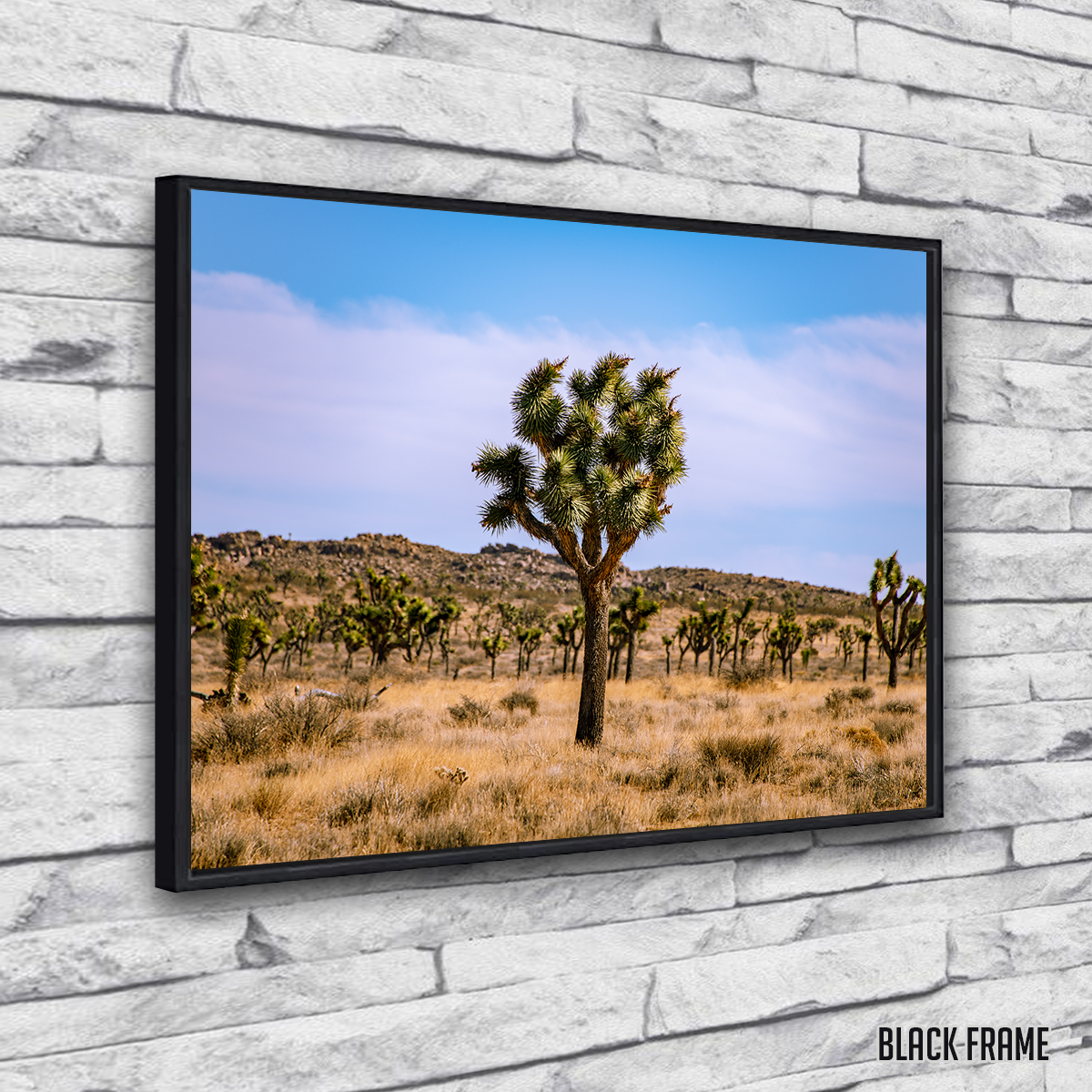 Joshua Tree Wall Art