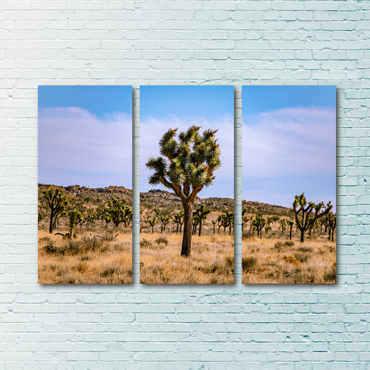 Joshua Tree Wall Art