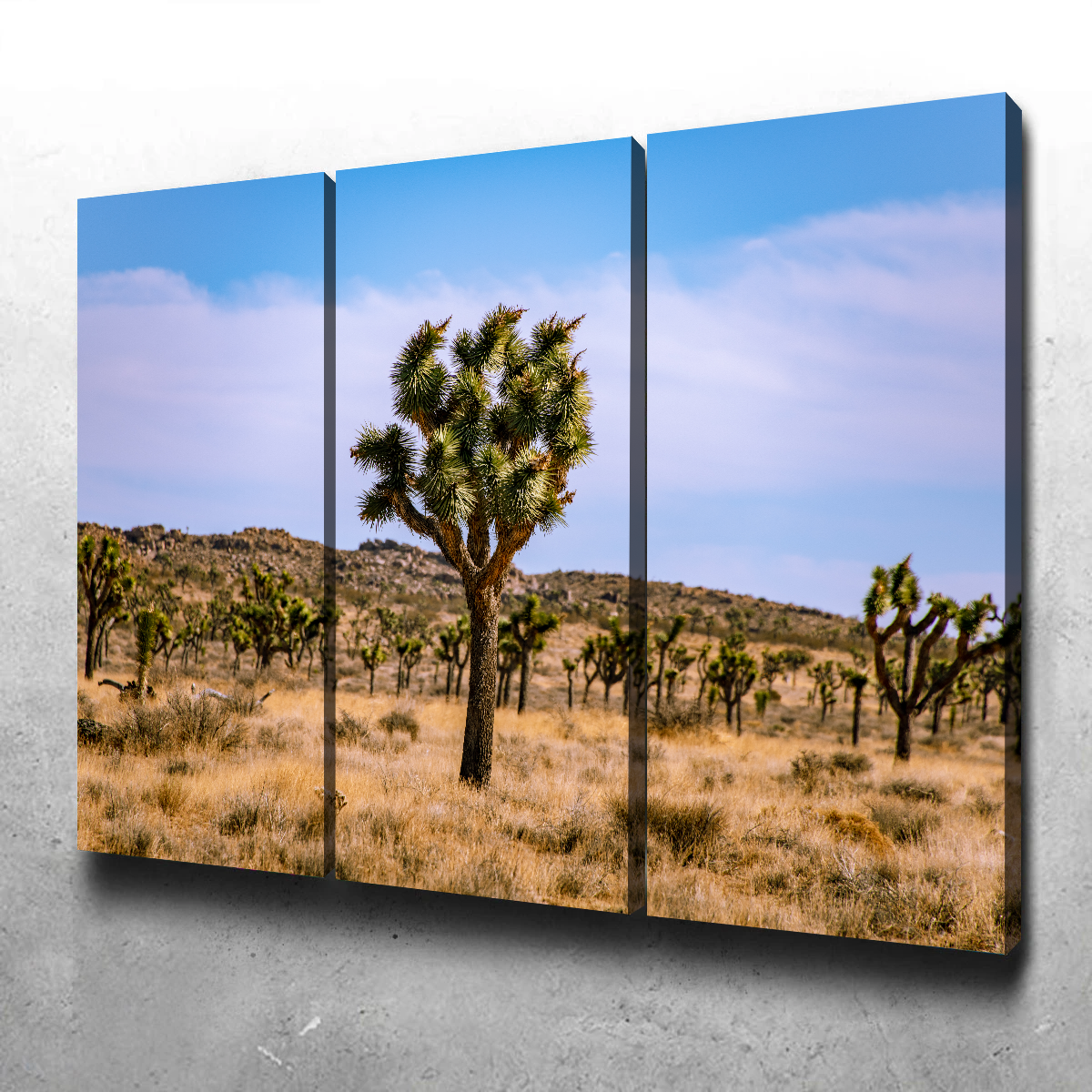 Joshua Tree Wall Art