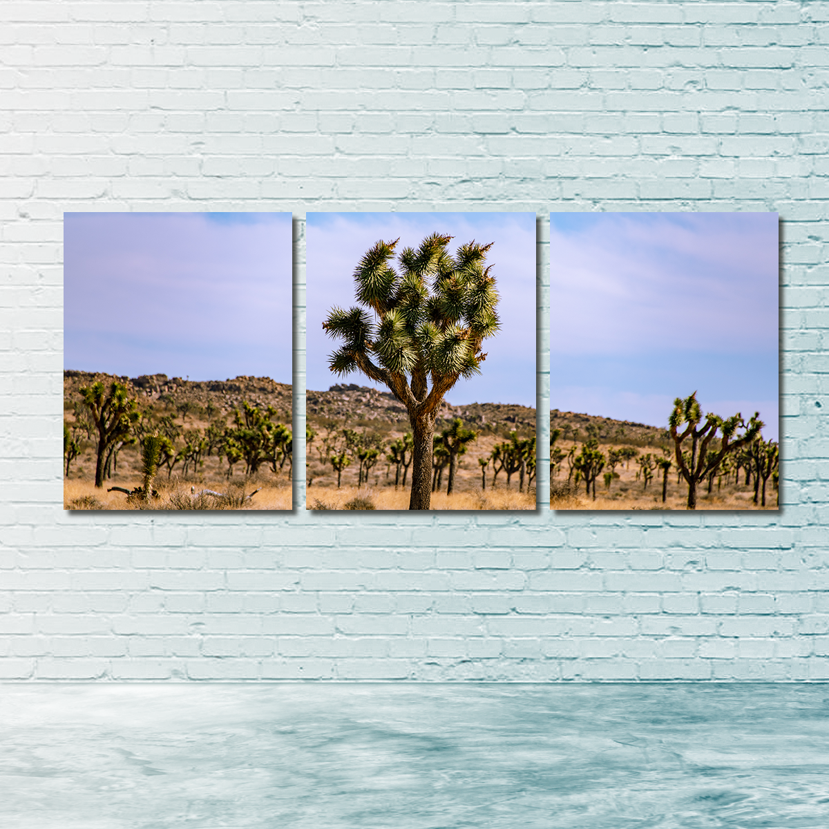 Joshua Tree Wall Art