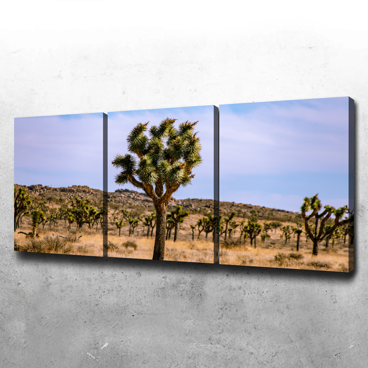 Joshua Tree Wall Art