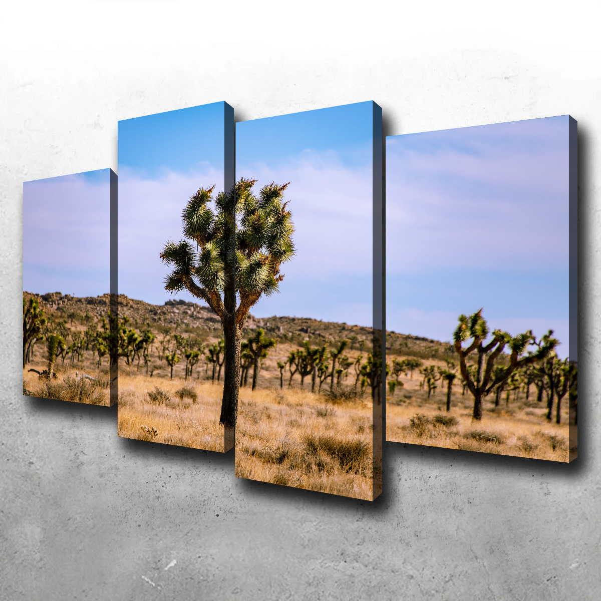 Joshua Tree Wall Art