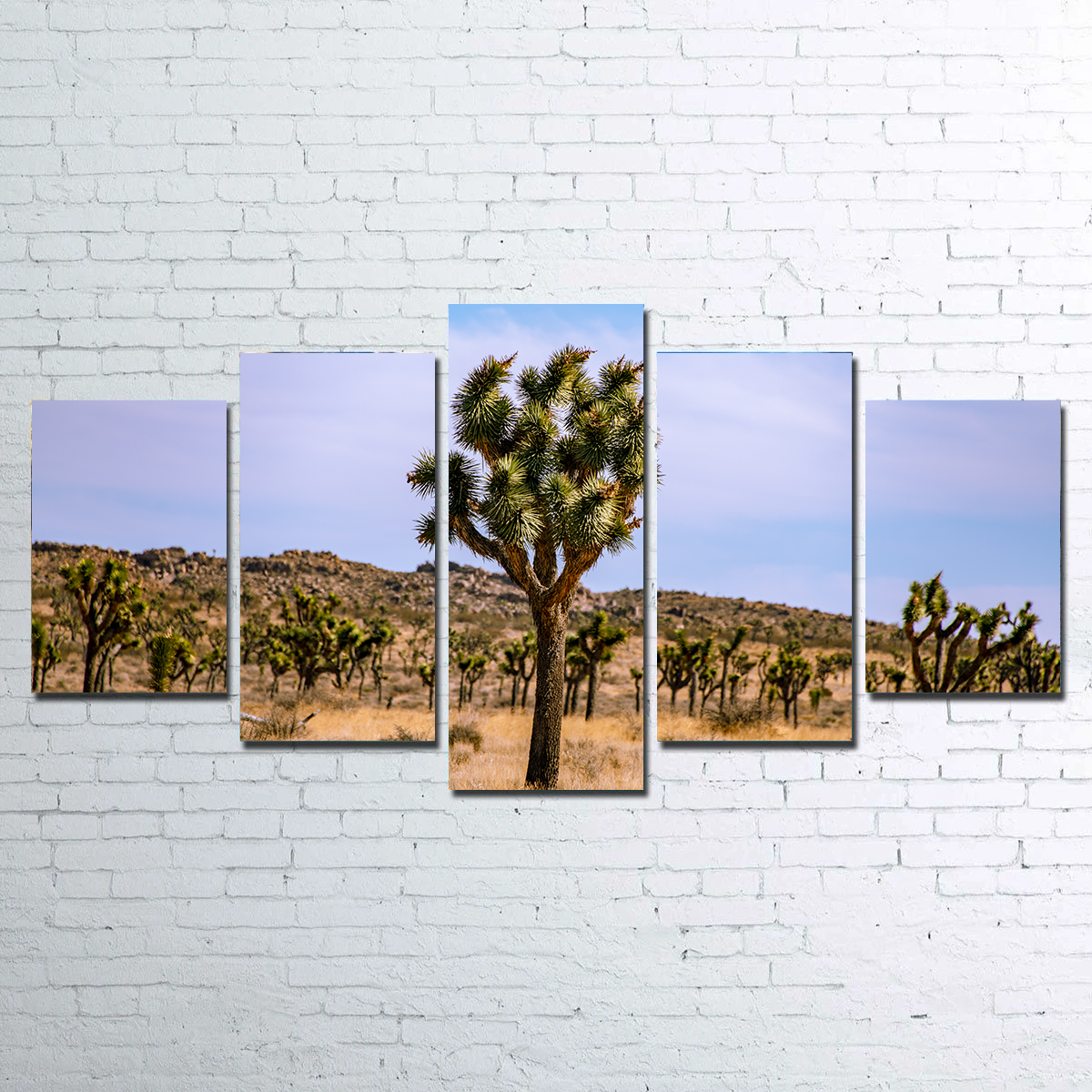 Joshua Tree Wall Art