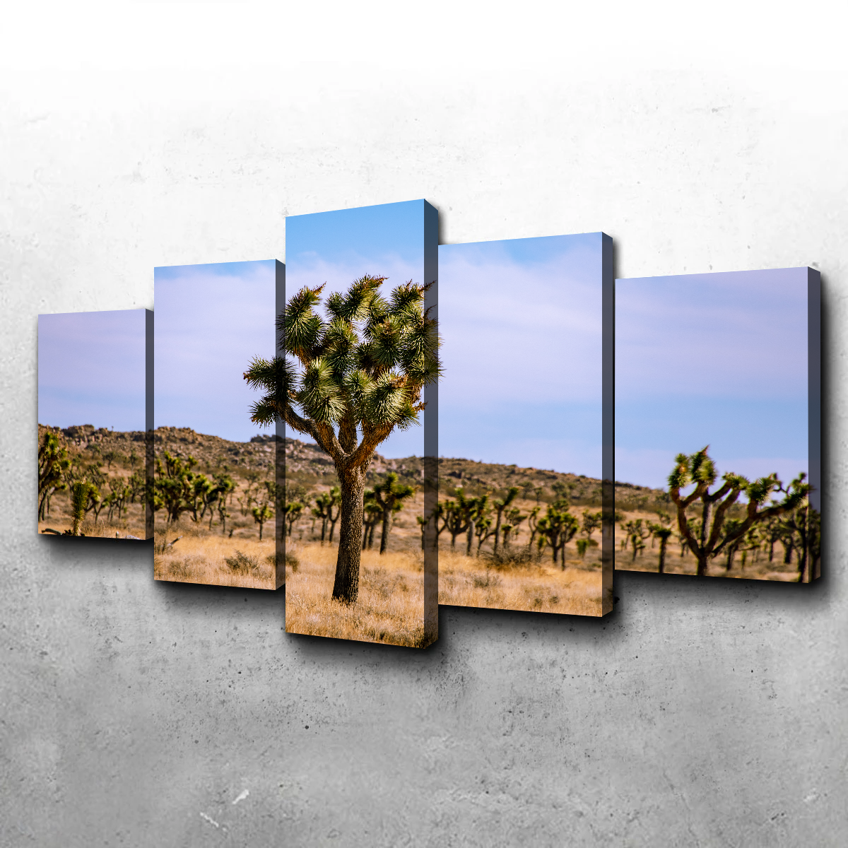 Joshua Tree Wall Art