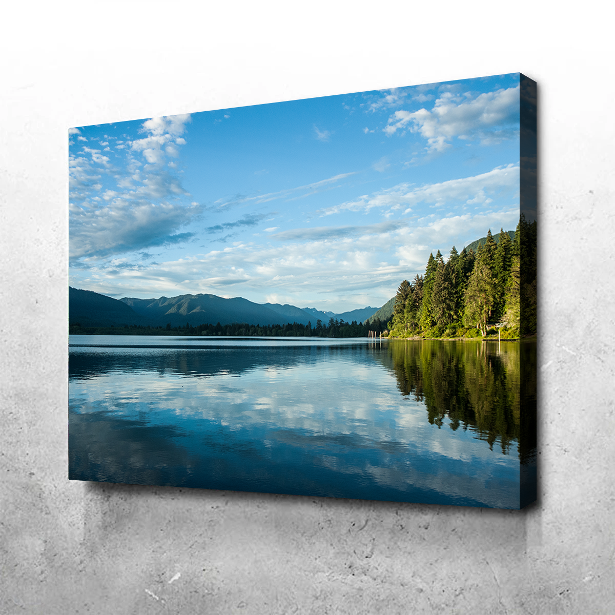 Lake Quinault Wall Art