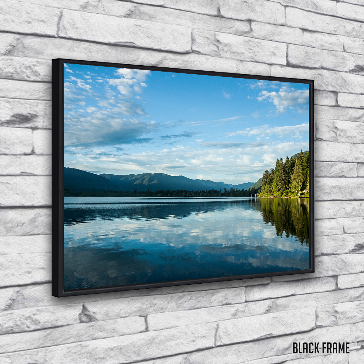 Lake Quinault Wall Art