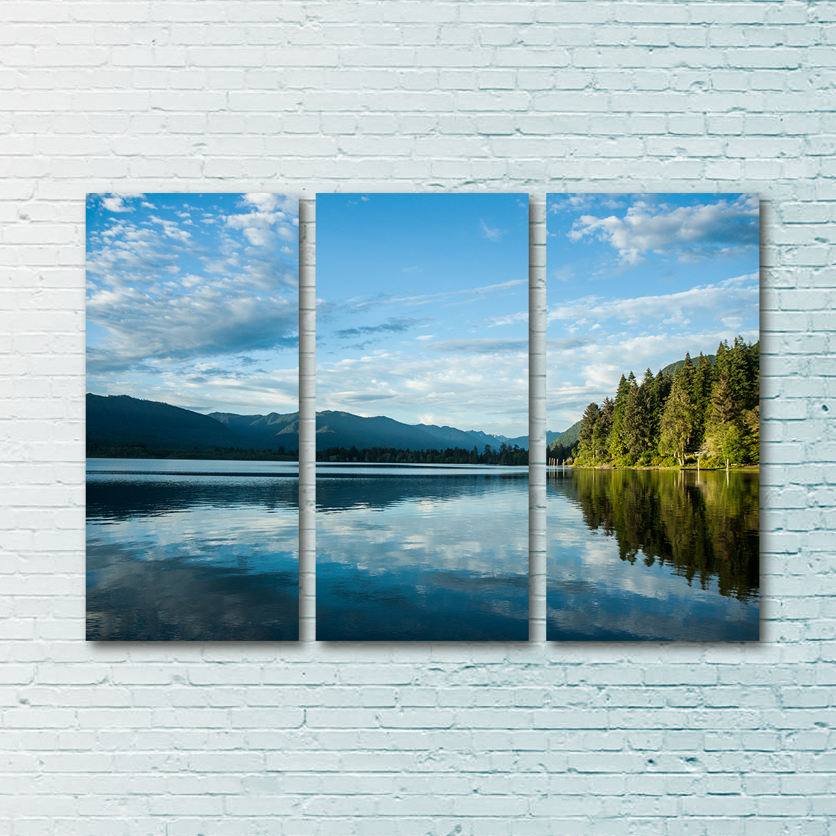 Lake Quinault Wall Art