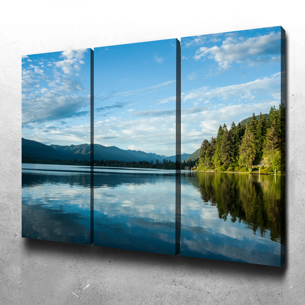 Lake Quinault Wall Art
