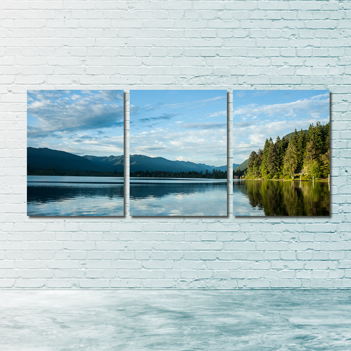 Lake Quinault Wall Art