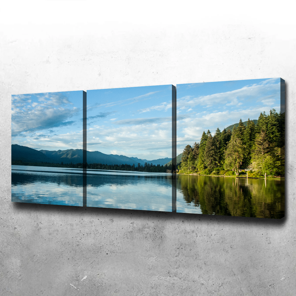 Lake Quinault Wall Art