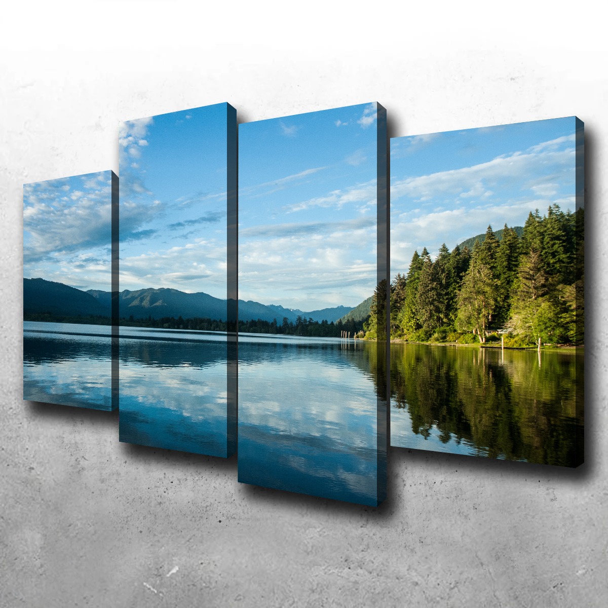 Lake Quinault Wall Art