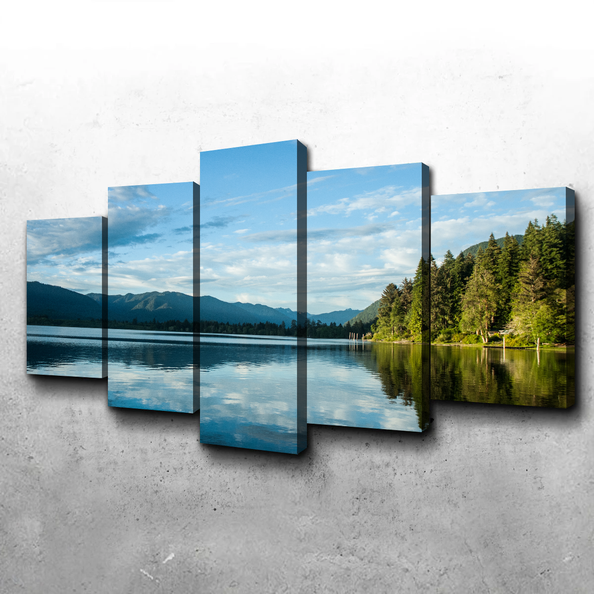 Lake Quinault Wall Art