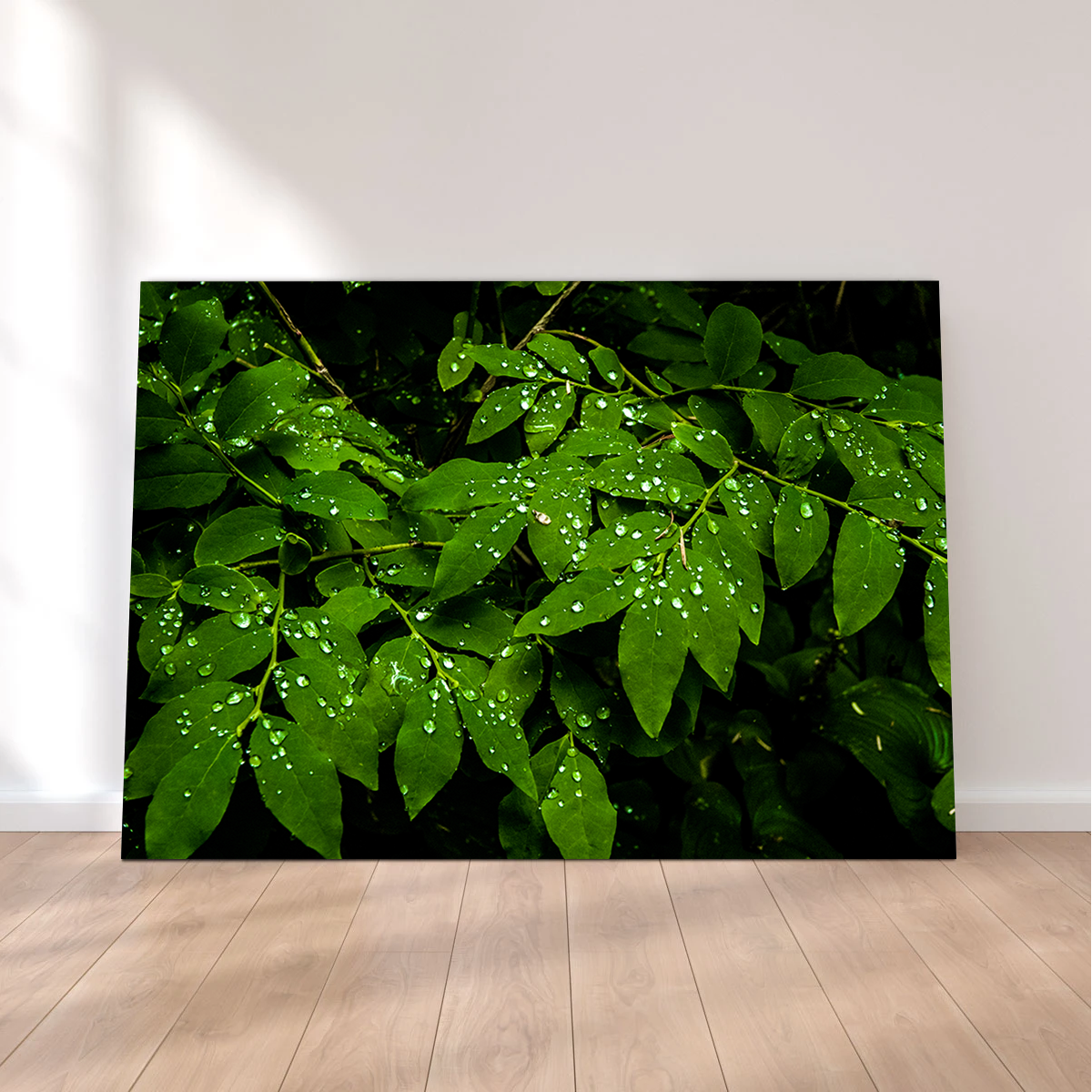 Rain Drops on Leaves Wall Art