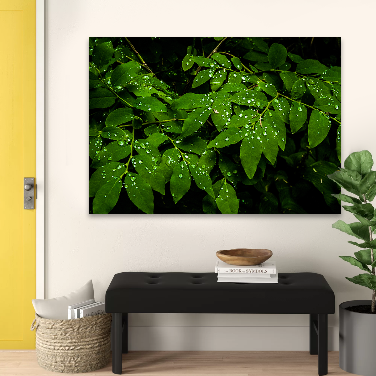 Rain Drops on Leaves Wall Art