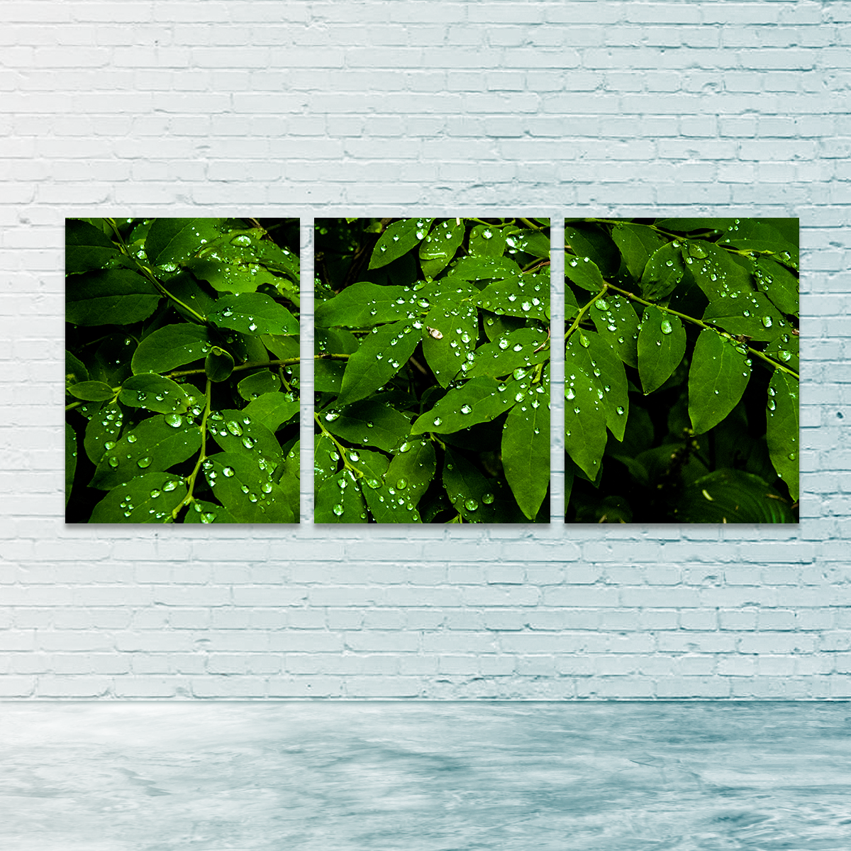 Rain Drops on Leaves Wall Art