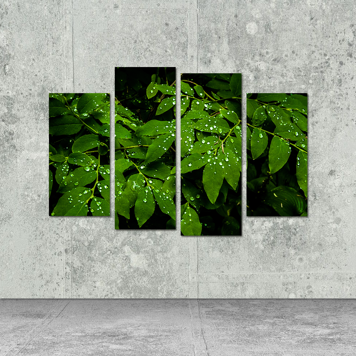 Rain Drops on Leaves Wall Art
