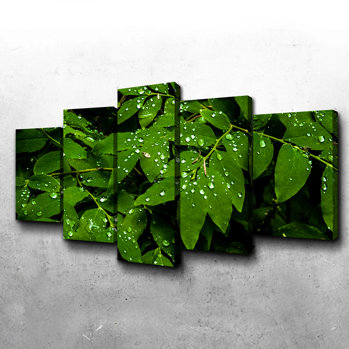 Rain Drops on Leaves Wall Art