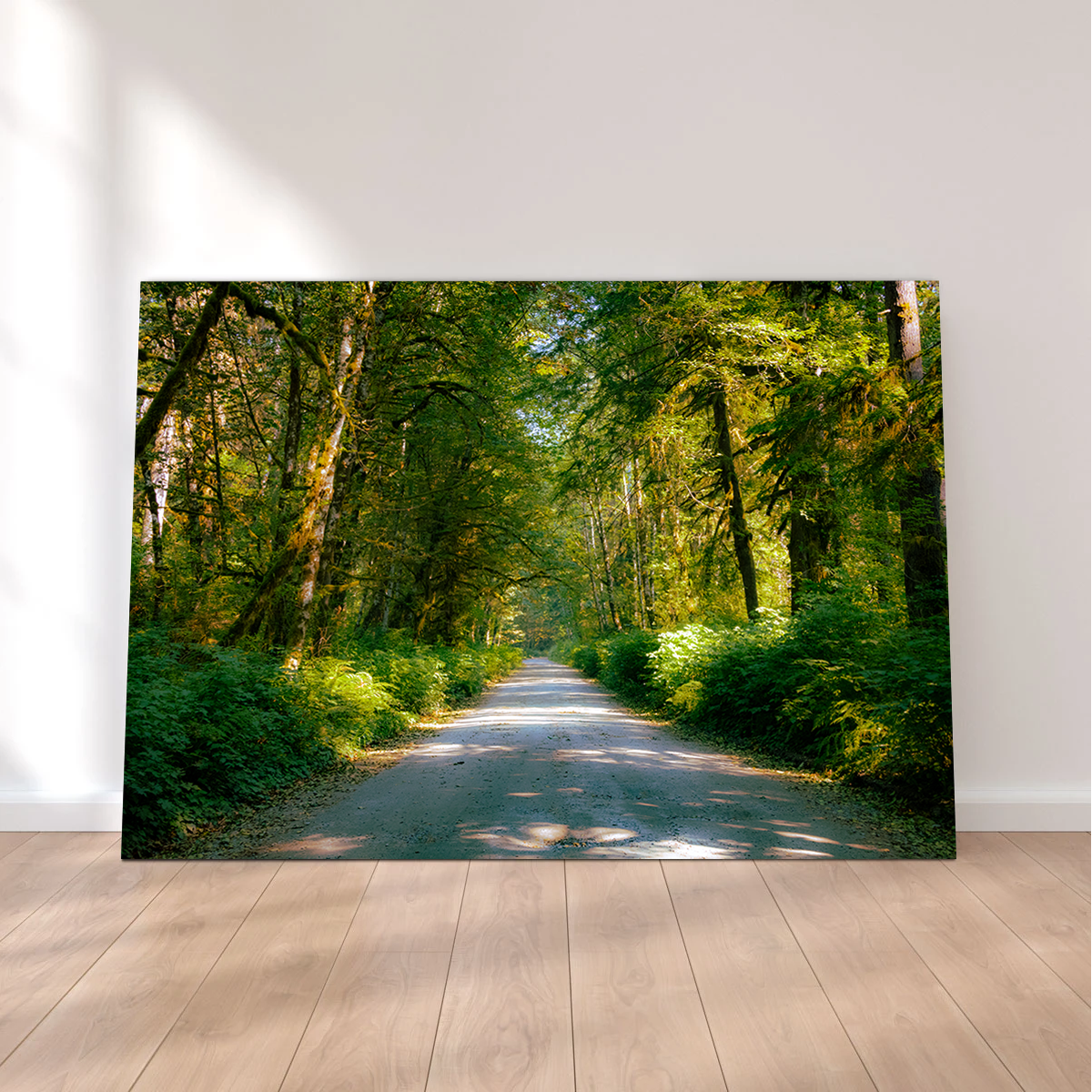 Rainforest Road Wall Art