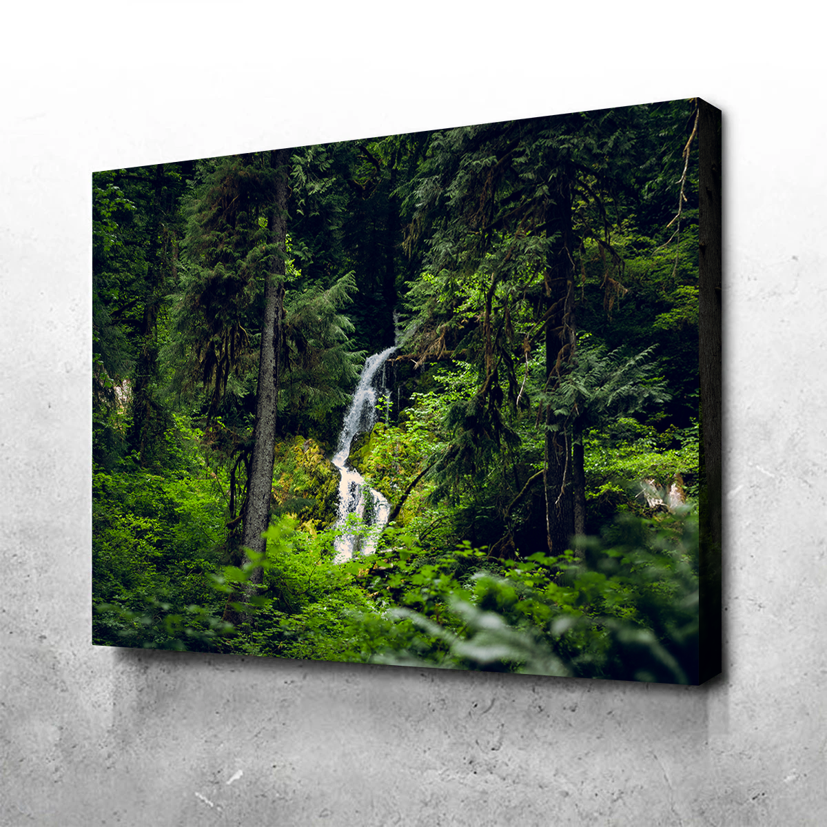 Rainforest Waterfall Wall Art