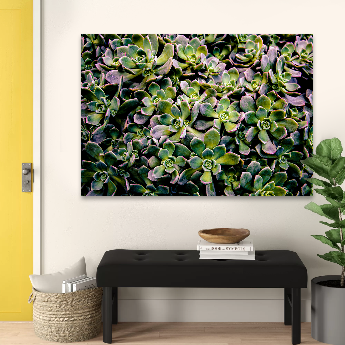 Succulents Wall Art