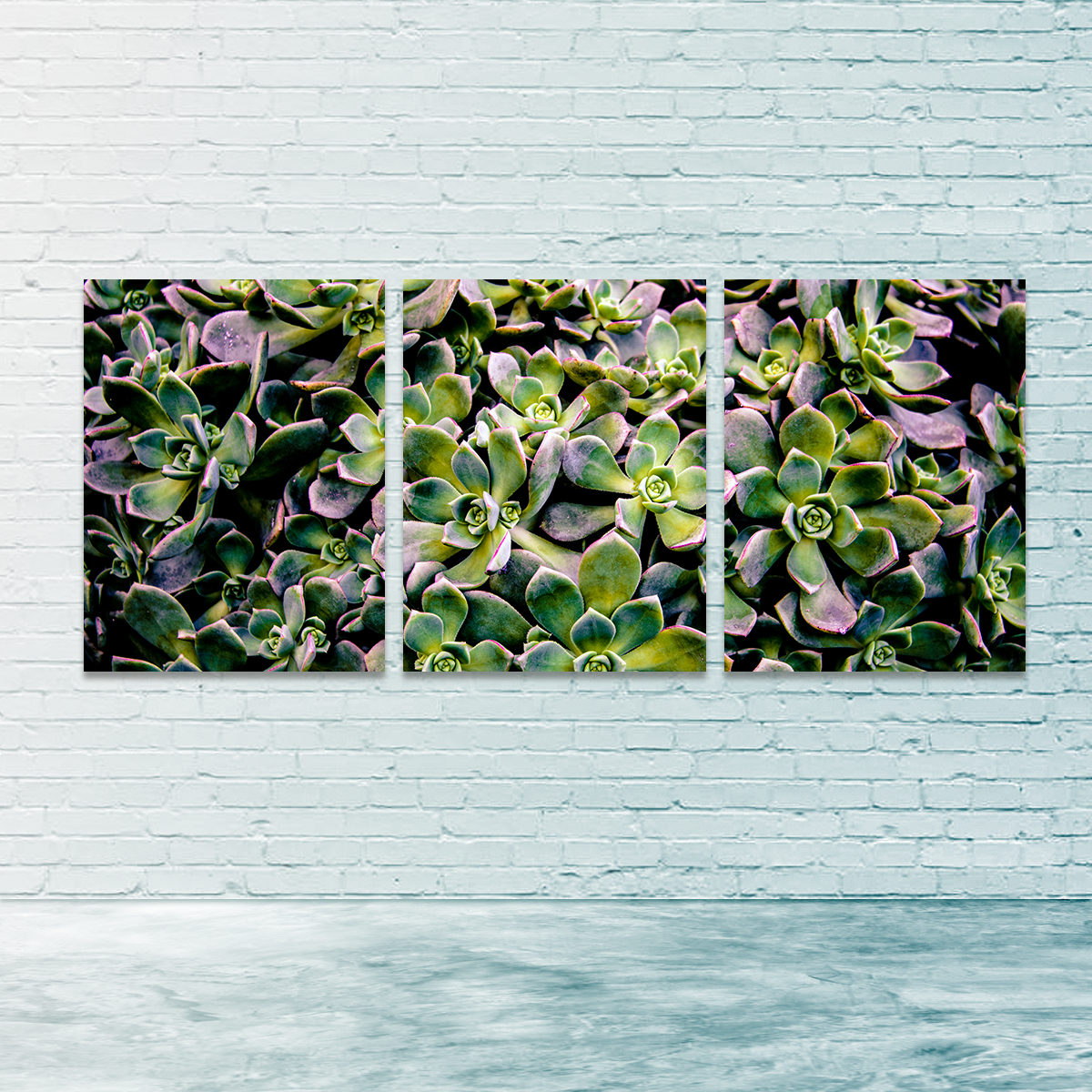 Succulents Wall Art