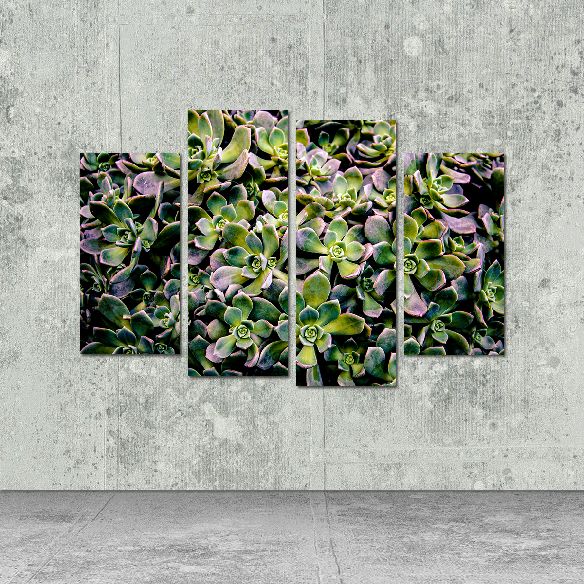 Succulents Wall Art