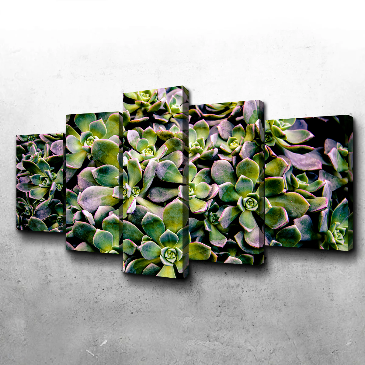 Succulents Wall Art