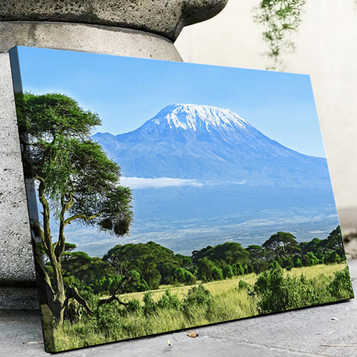 Mount Kilimanjaro Wall Art