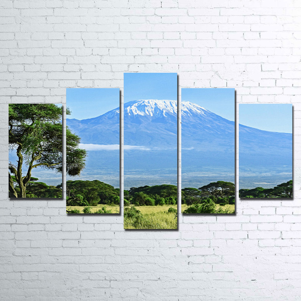 Mount Kilimanjaro Wall Art