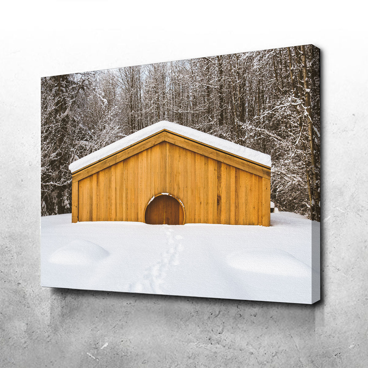 Lava Bed Provincial Park Wall Art