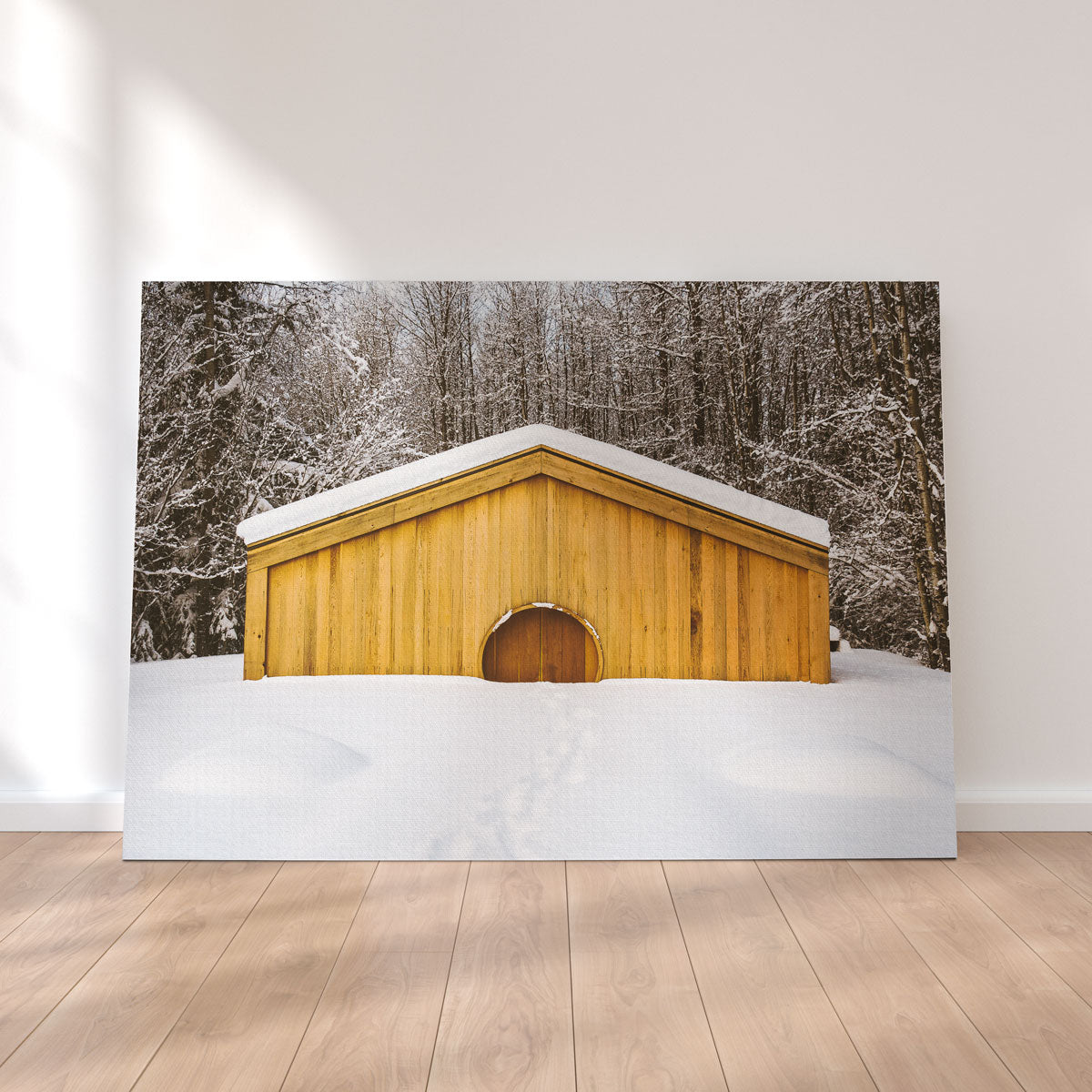 Lava Bed Provincial Park Wall Art