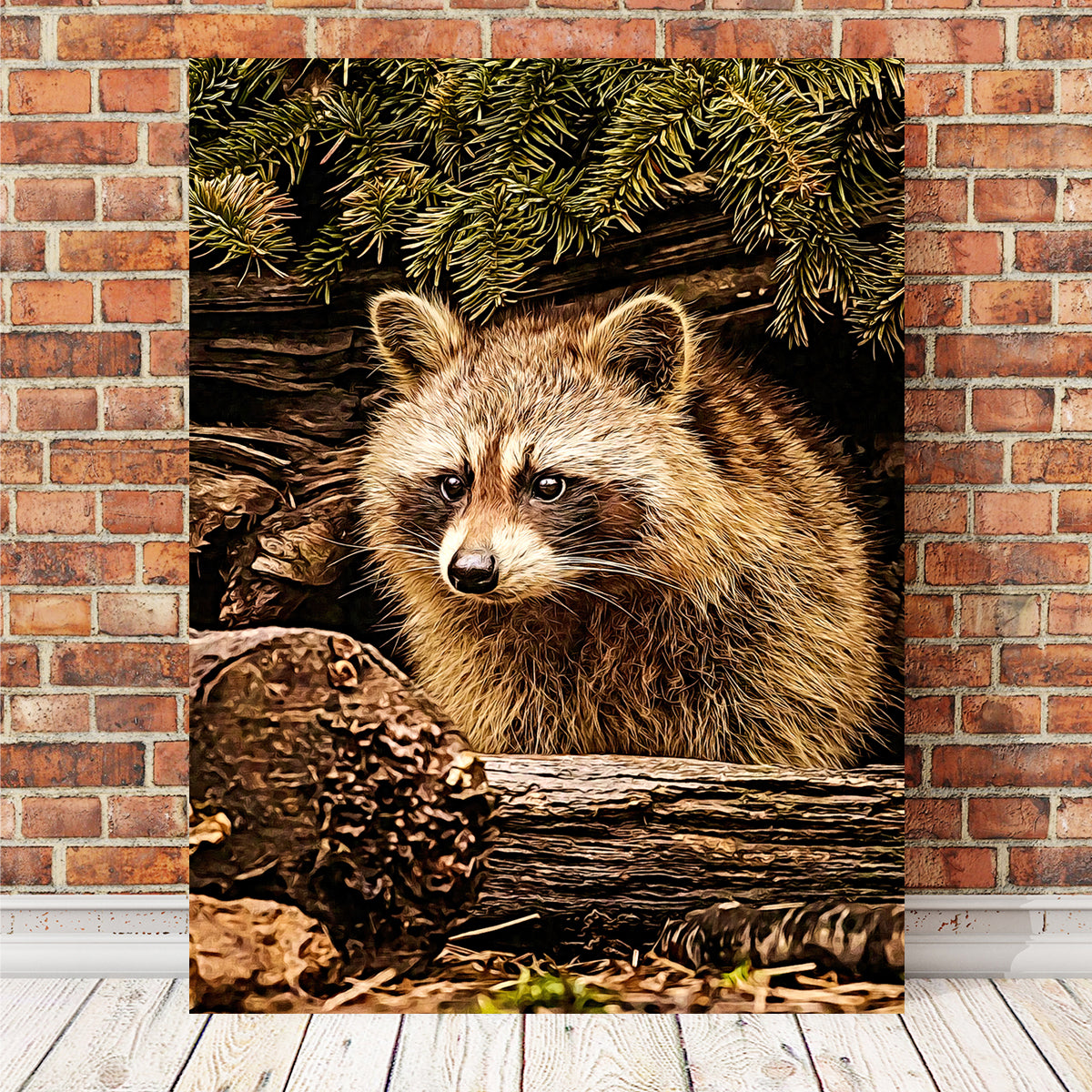 Raccoon Wall Art