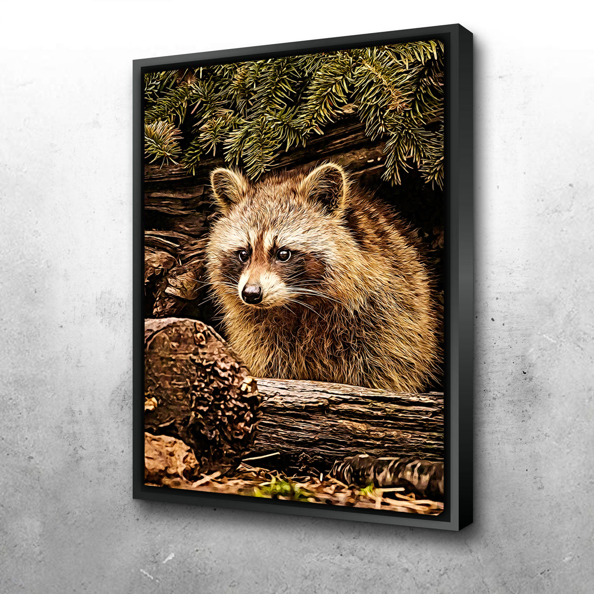 Raccoon Wall Art