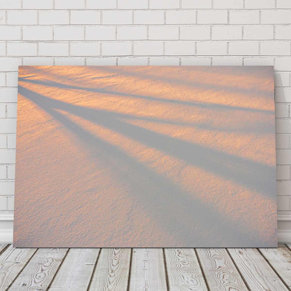 Shadows in the Snow Wall Art
