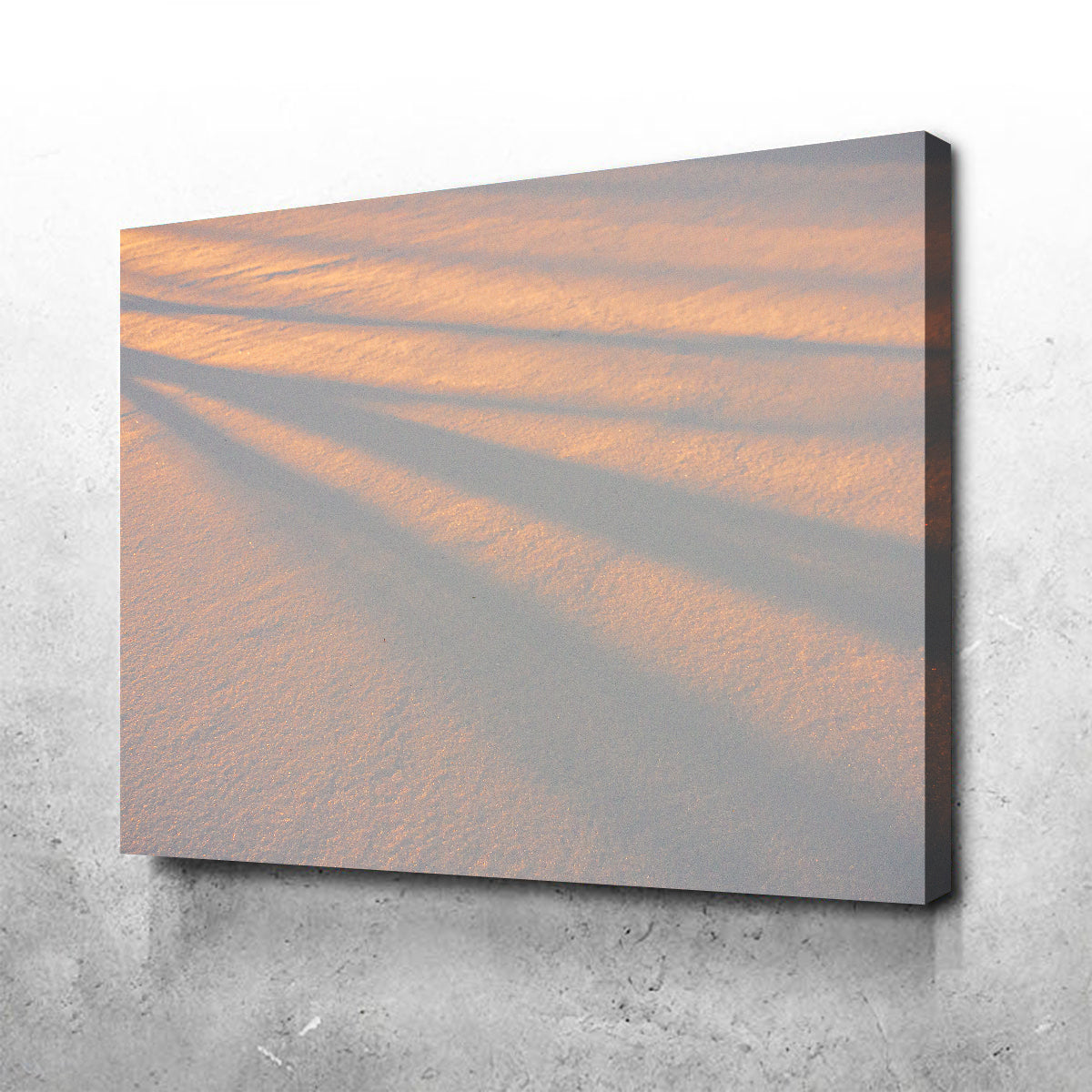 Shadows in the Snow Wall Art