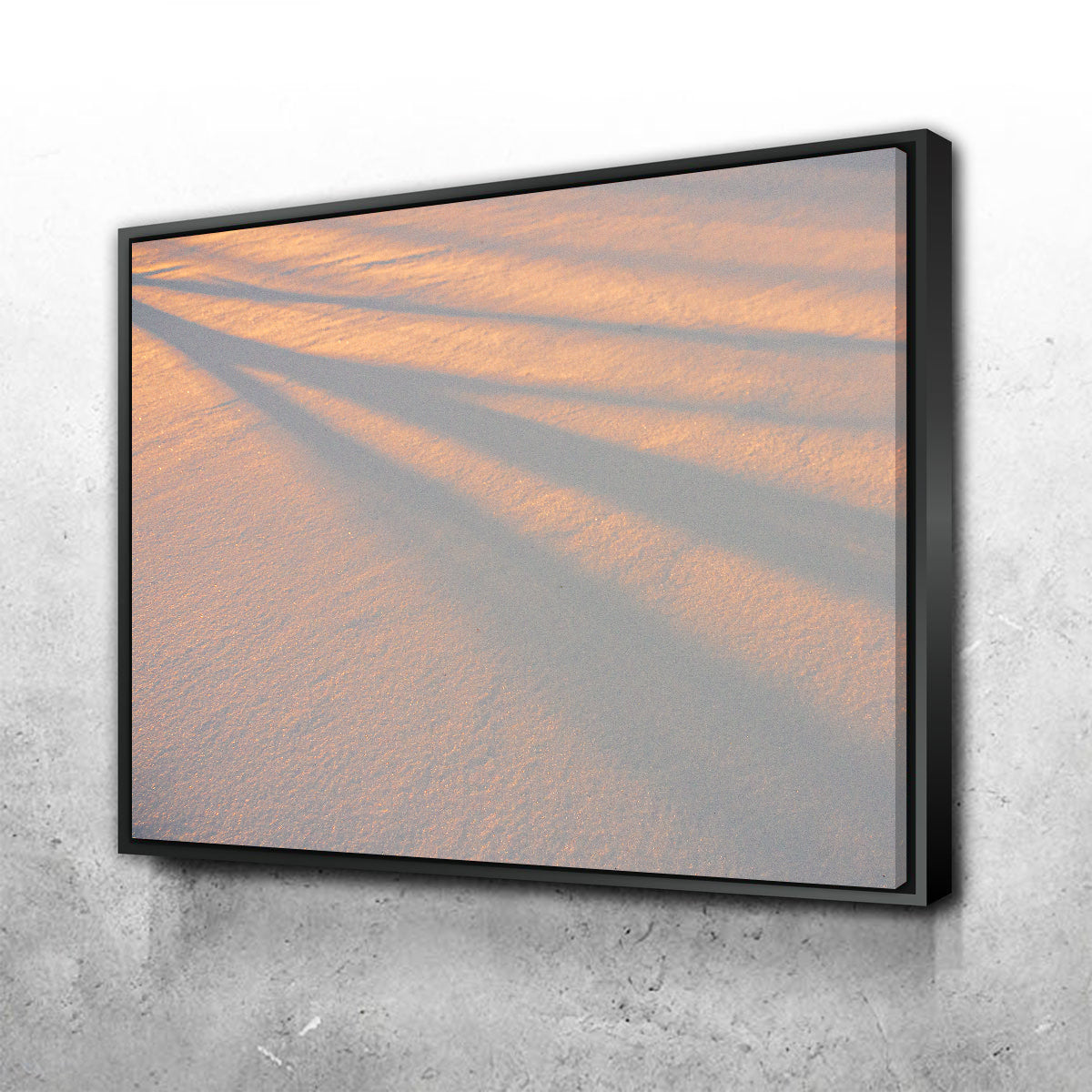 Shadows in the Snow Wall Art