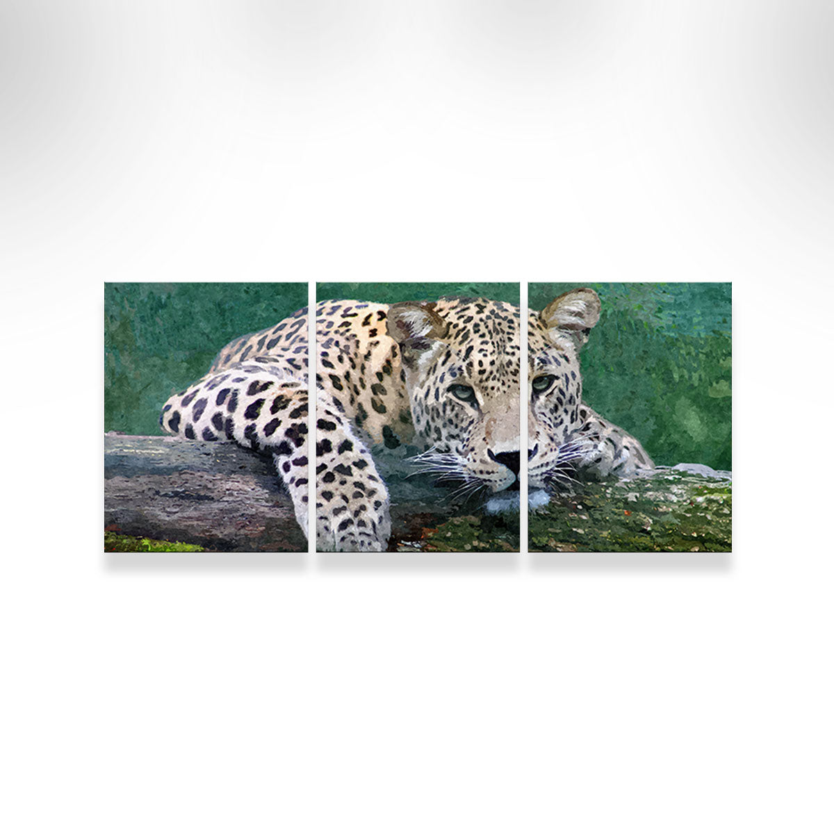 Snow Leopard Wall Art