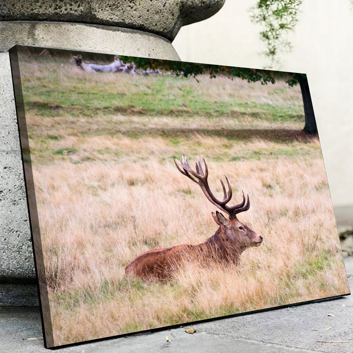 The Stag Wall Art