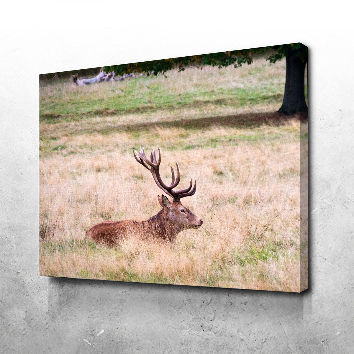 The Stag Wall Art