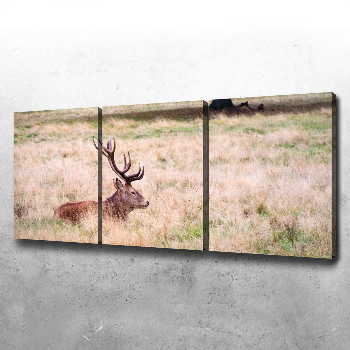 The Stag Wall Art
