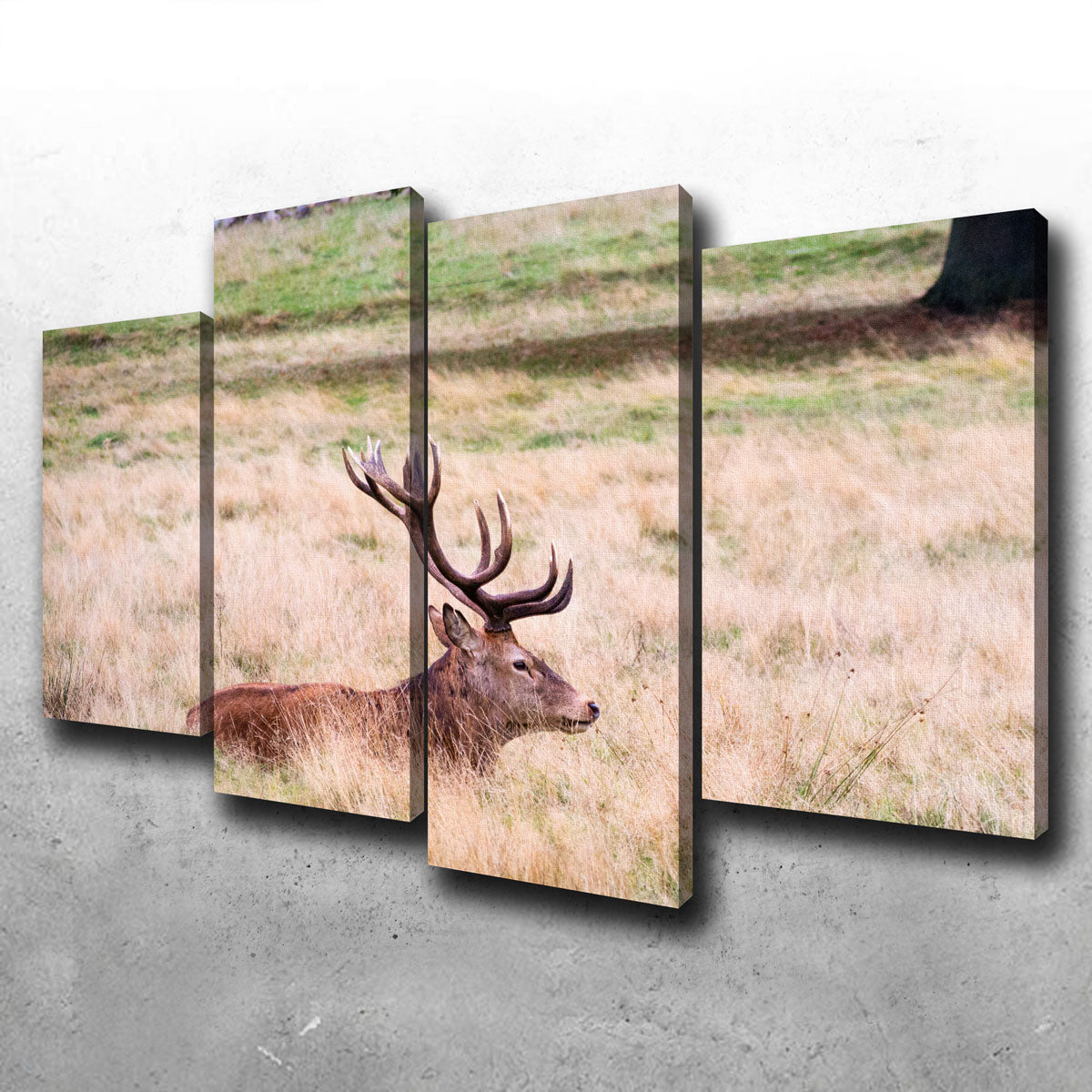 The Stag Wall Art