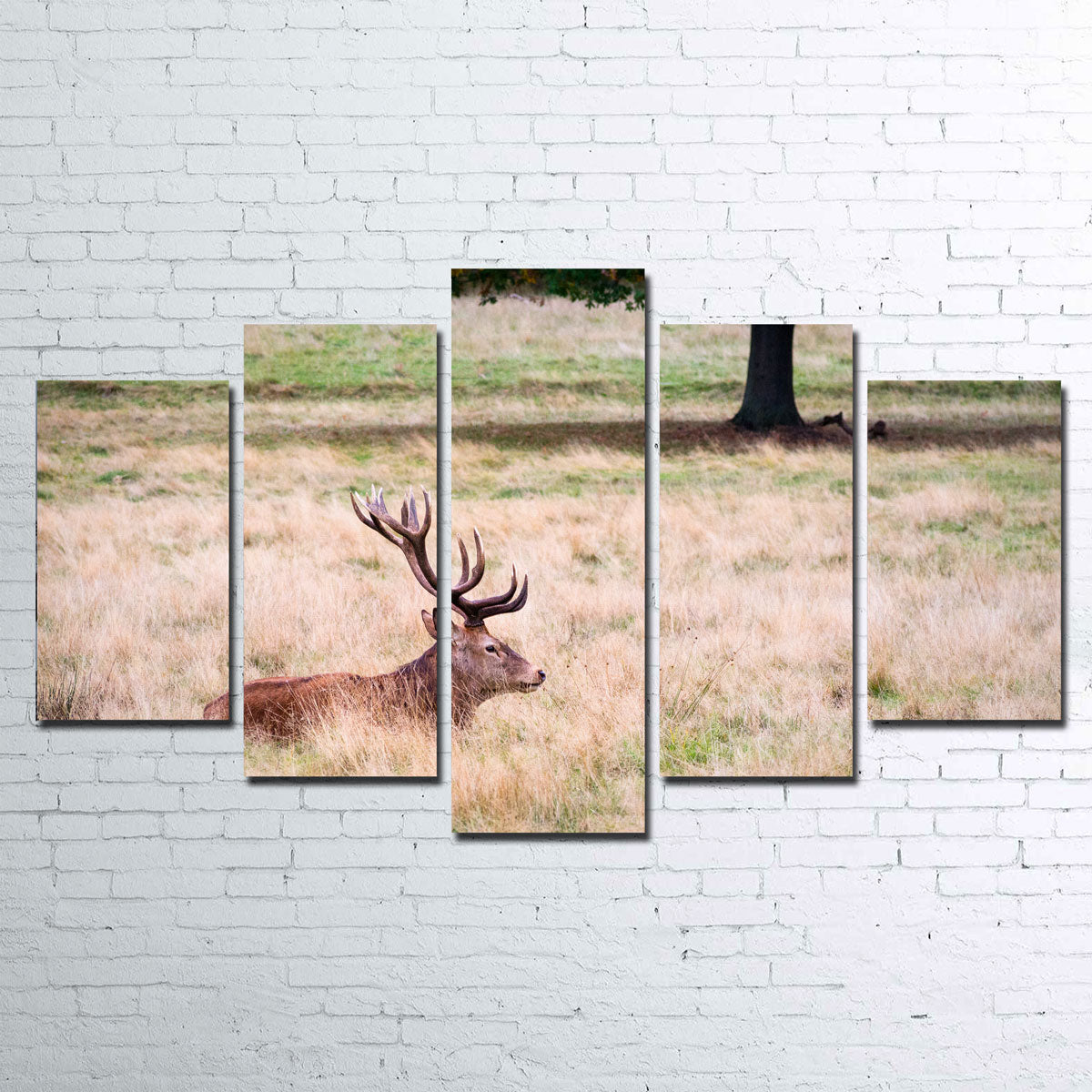 The Stag Wall Art