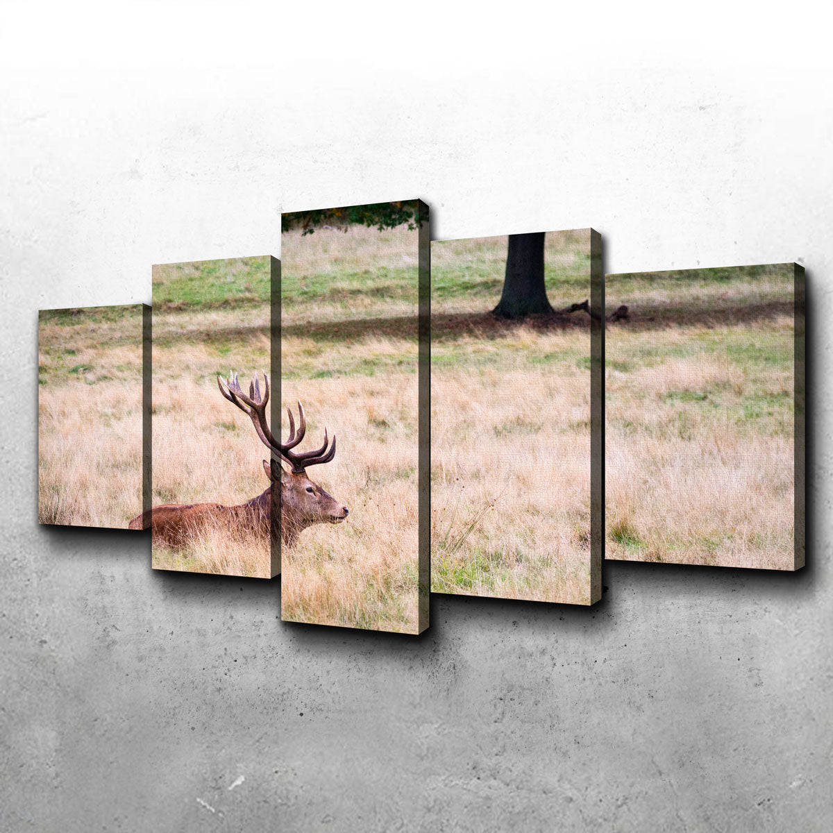 The Stag Wall Art